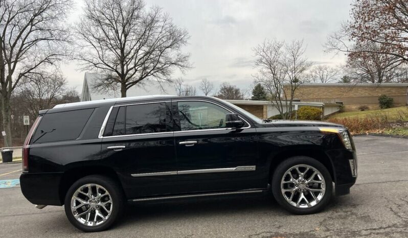 Cadillac Escalade 2016 SUV Used full