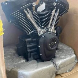 2022 Harley Davidson 117 ci Milwaukee eight 1923 cc motor